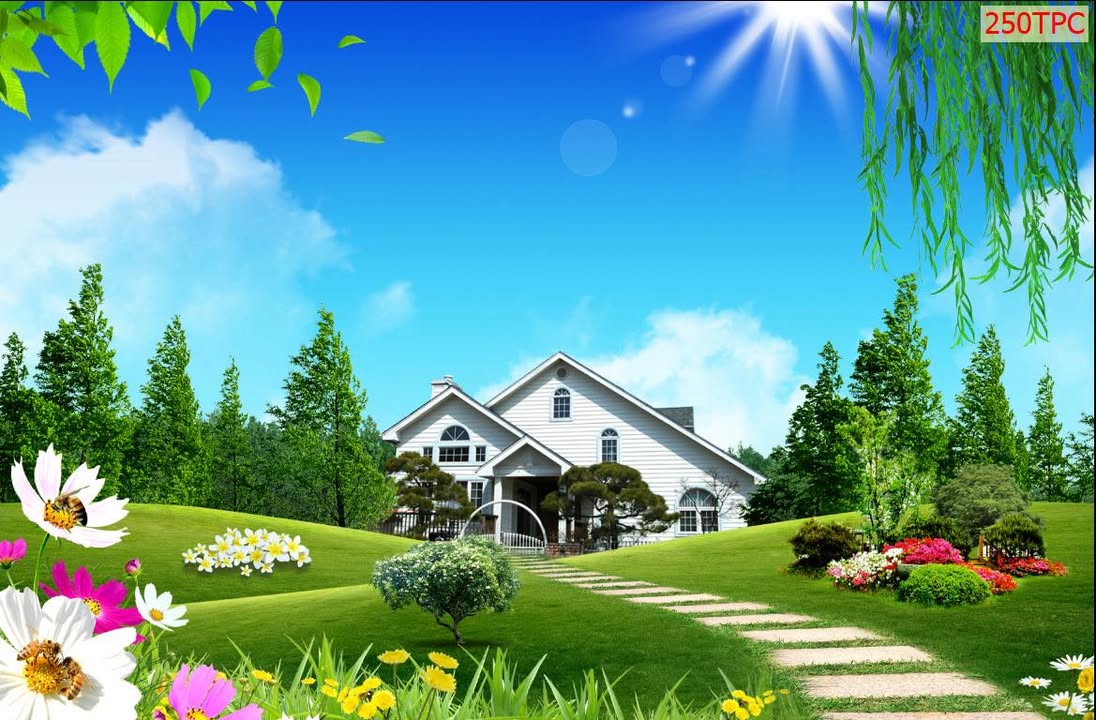 Đất thổ cư Tân Uyên 240m² giá chỉ 2 tỷ - Đầu tư sinh lời ngay!