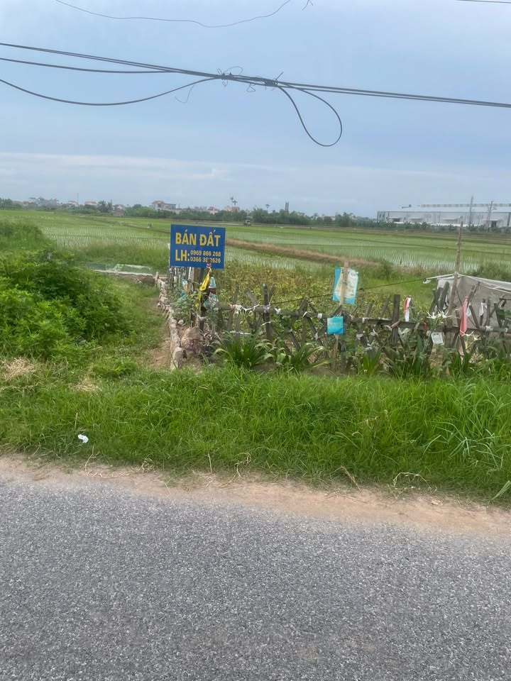 Đất thổ cư xã Hoành Sơn, Giao Thủy, 92m² - Mặt tiền 5m, giá thỏa thuận