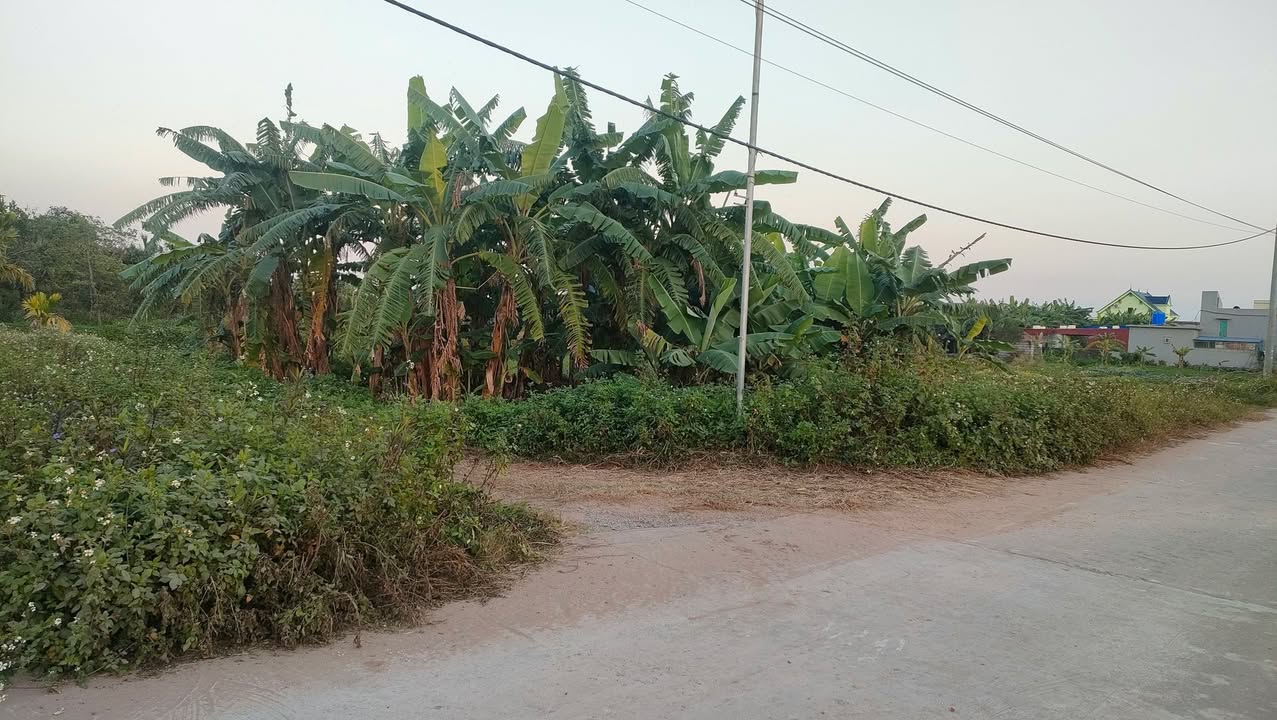 Đất nền 965m² tại xã Giao Xuân, Giao Thủy - Đường 7m, giá 3.6 tỷ