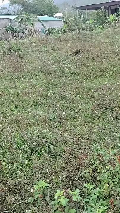 Đất nền Xóm 23, Xã Nghi Văn, 19m² giá 1 tỷ - Cơ hội đầu tư tốt!