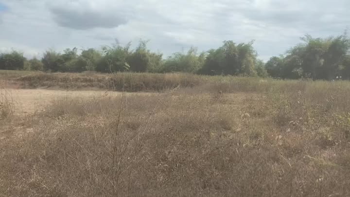 Đất rẫy 5ha Xã Cư M'Lan, Huyện Ea Súp, Giá chỉ 2.1 tỷ - Cơ hội đầu tư tuyệt vời!