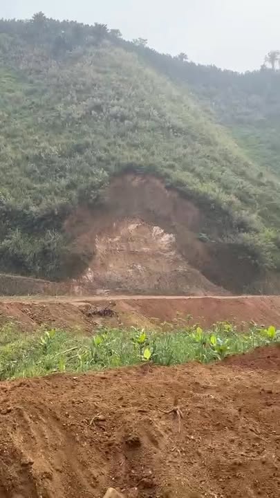Lô đất Farm 4,5ha tại Xã Quang Minh, Huyện Văn Yên - Cơ hội đầu tư tuyệt vời!