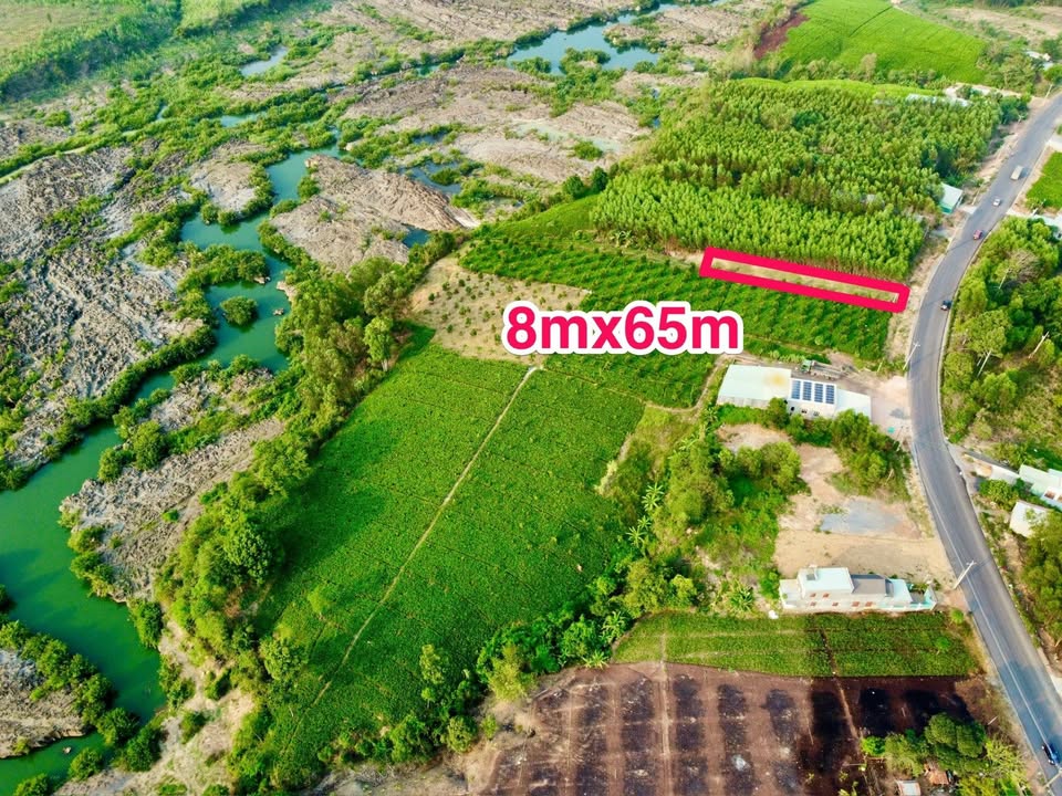 Đất nền 520m² mặt tiền đường 768, xã Trị An, Đồng Nai - Cơ hội đầu tư hấp dẫn!