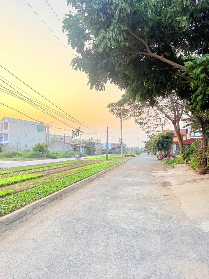 Đất nền Vĩnh Tiến Ninh Phúc 100m² giá 2 tỷ - Đầu tư sinh lời ngay!