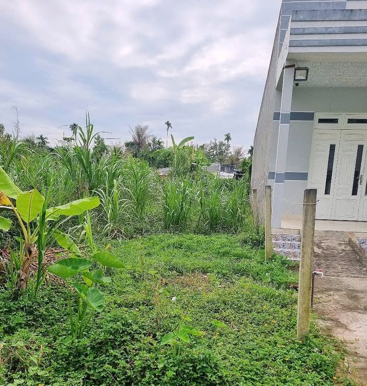 Đất nền Phú Hưng Bến Tre 134m² giá 699 triệu - Sổ đỏ chính chủ!