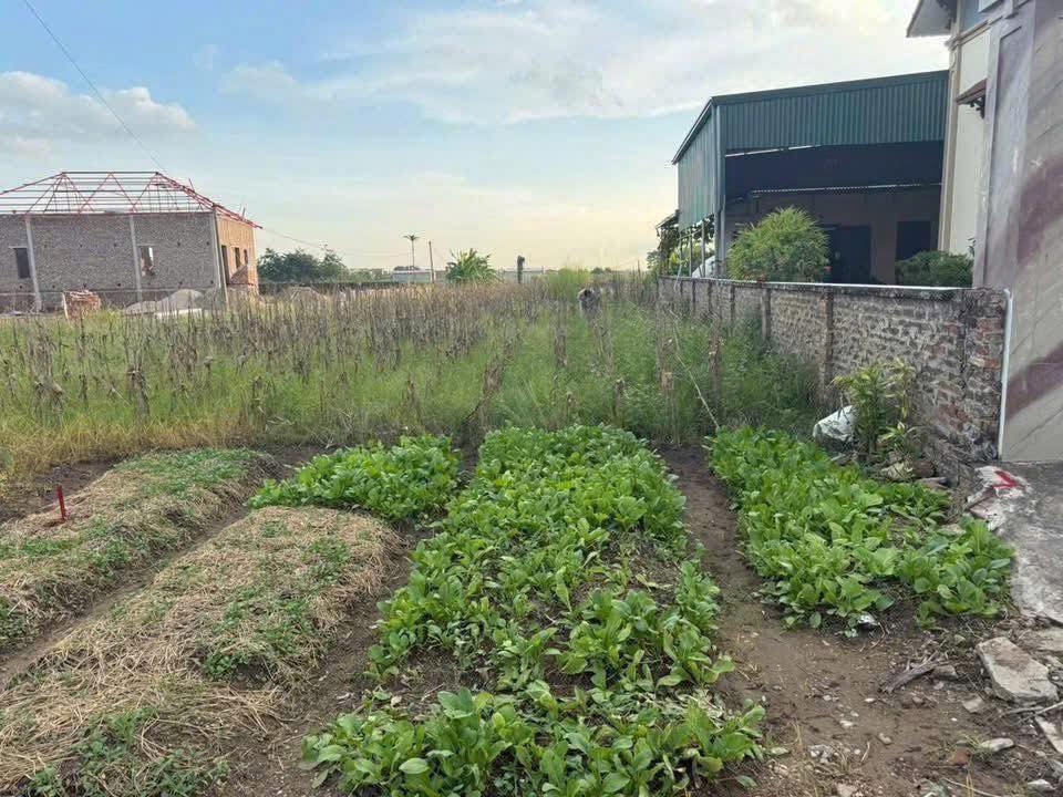 Đất nền thôn Nhất Trai, Gia Bình 100m² giá 2 tỷ - Đường ô tô tránh nhau