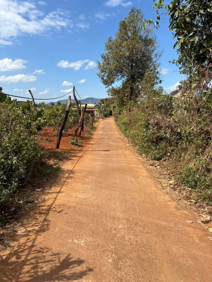 Đất nền thổ cư 264m² xã Cư Mốt - Giá chỉ 200 triệu, sổ hồng đầy đủ!