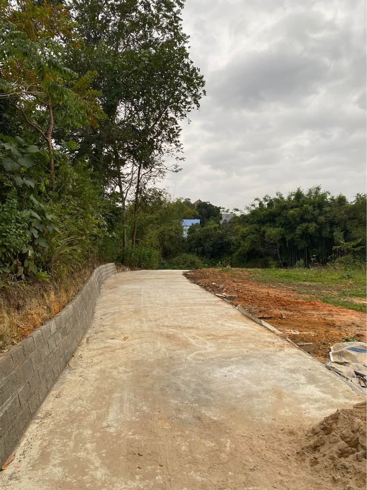 Lô đất Phường Tân Lập 137m² giá 1 tỷ - Tiềm năng đầu tư cao!