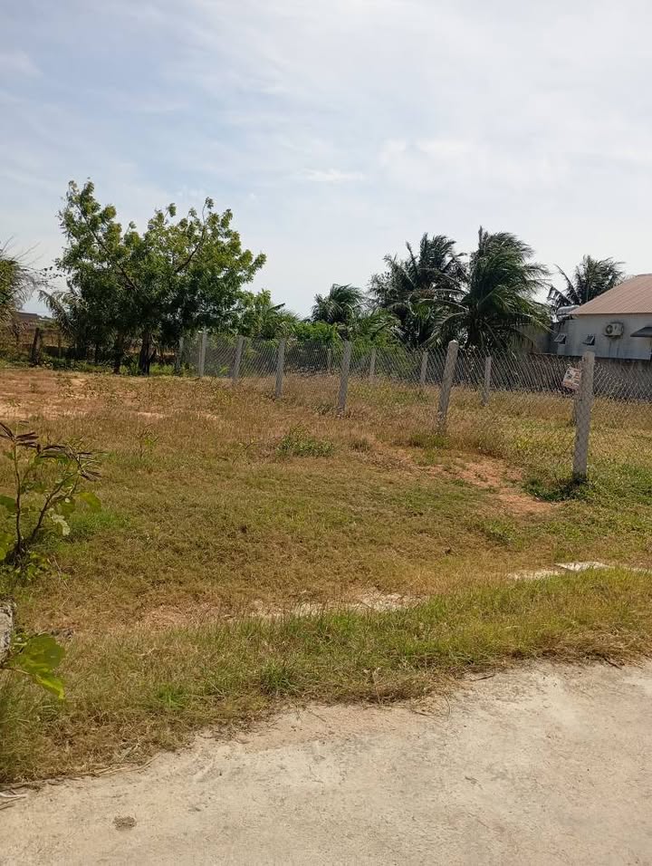 Đất nền Long Bình, Huyện Ninh Hải, 118m² & 122m² giá 800 triệu - Đầu tư an toàn!