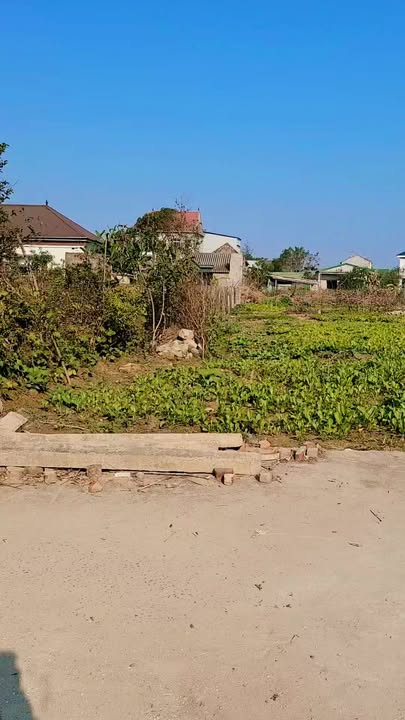 Đất nền Xóm Kim Yên, Nghi Liên 74m² giá chỉ 1.7 tỷ - Cơ hội đầu tư tốt!