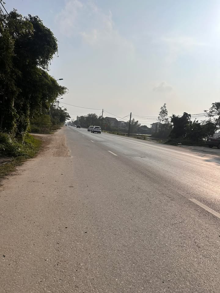 Đất nền Nghi Lộc 210m² giá 5 tỷ - Gần Đại học Vinh CS2 chỉ 800m!