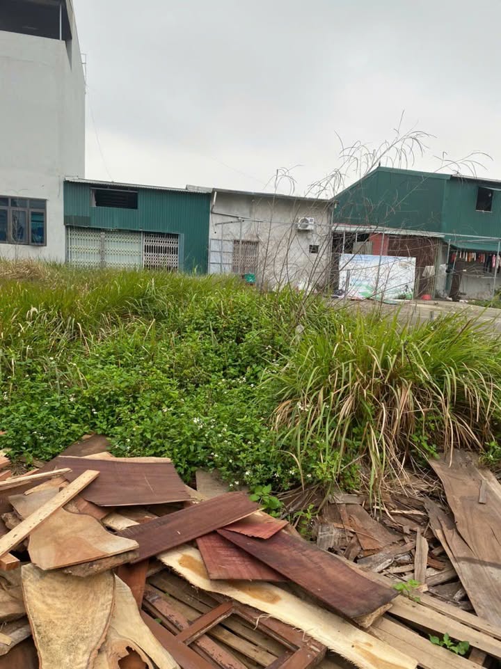 Bán đất thôn Đại Nghiệp, xã Tân Dân, Phú Xuyên 116m² - Vị trí đắc địa gần trường cấp 3!