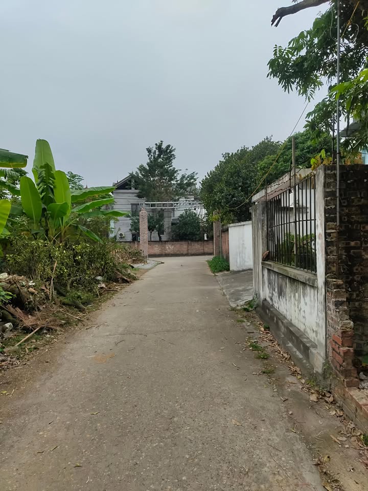 Đất nền Vĩnh Lộc, Thường Tín 78m² giá 4.2 tỷ - Đầu tư sinh lời ngay!