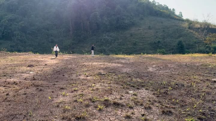 Đất thổ cư Mường Sang - 8000m² giá thỏa thuận - Tiềm năng đầu tư lớn!