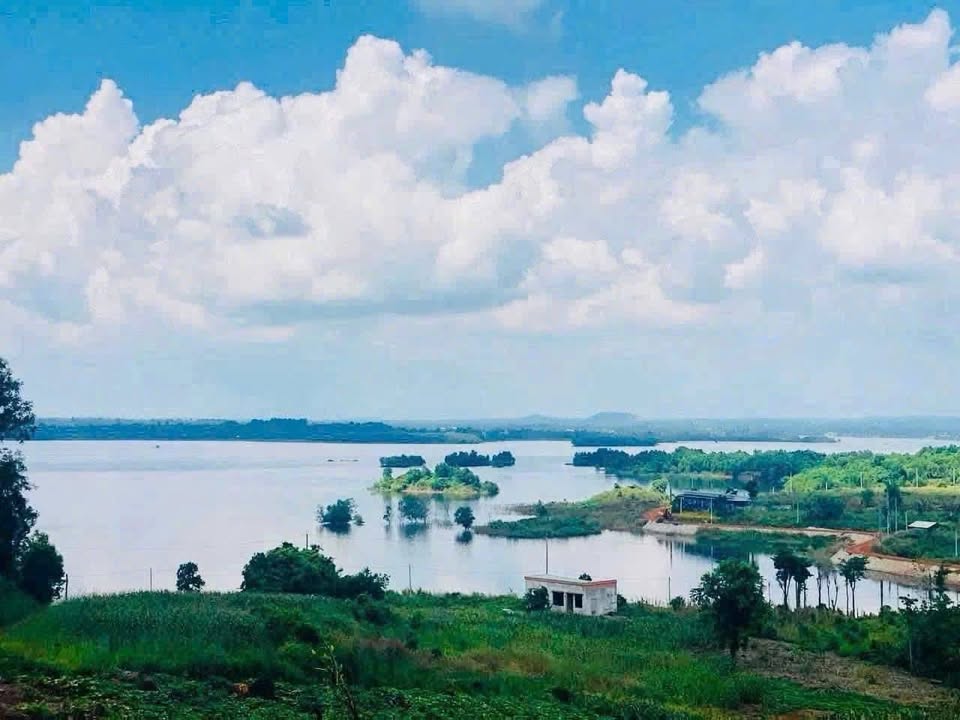 Đất mặt tiền tại xã Hòa Bình, 1000m² chỉ 1.25 tỷ - Đầu tư sinh lời lý tưởng!