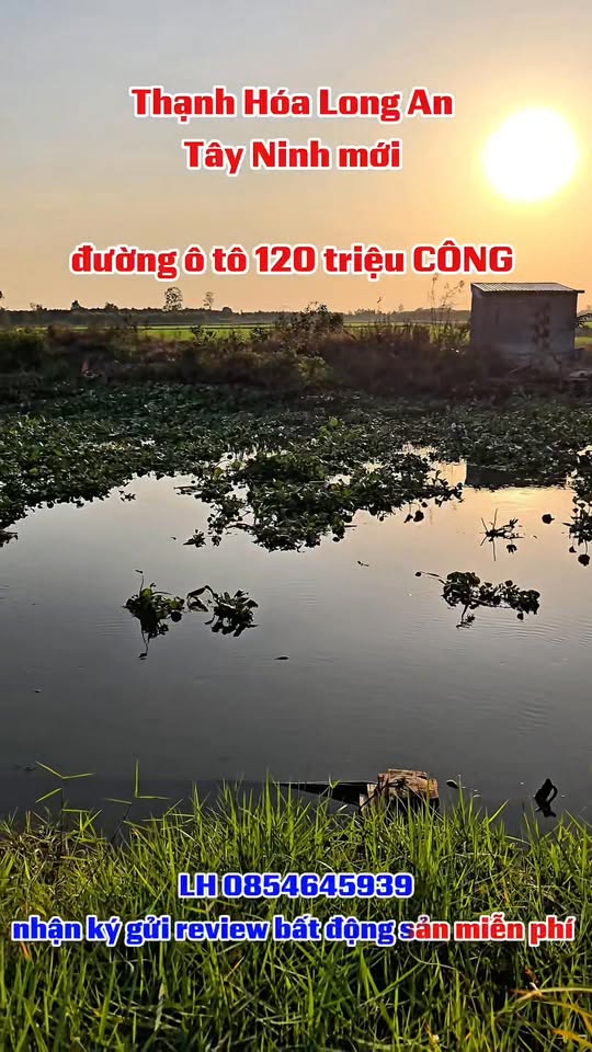 Đất nền 27 Công đường ô tô Thuận Nghĩa Hòa - 1000m² giá 120 triệu - Sổ hồng chính chủ!