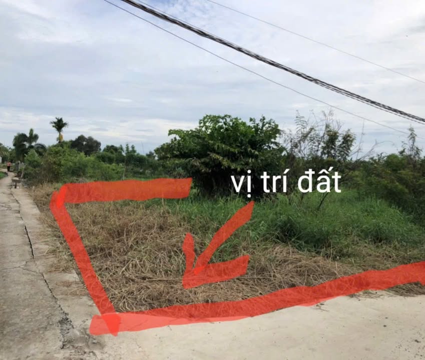 Đất thổ cư Mỹ Lộc, Huyện Cần Giuộc, 101m² giá 850 triệu - Đầu tư sinh lời ngay!