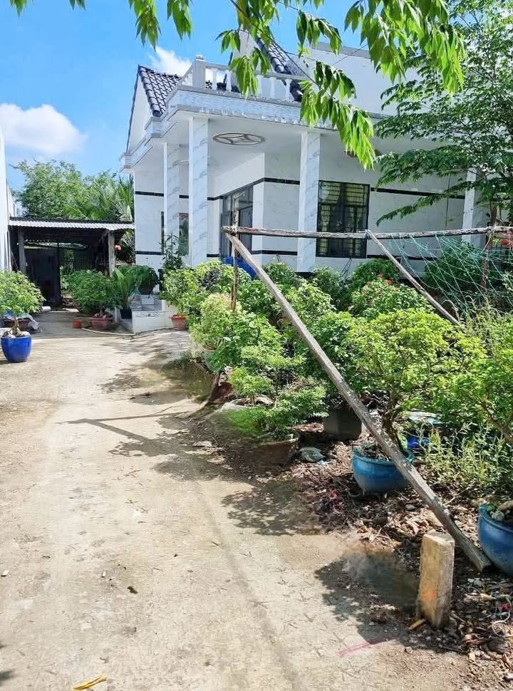 Đất nền Phú Khương Bến Tre 122,3m² giá 470 triệu - Cơ hội đầu tư hấp dẫn!