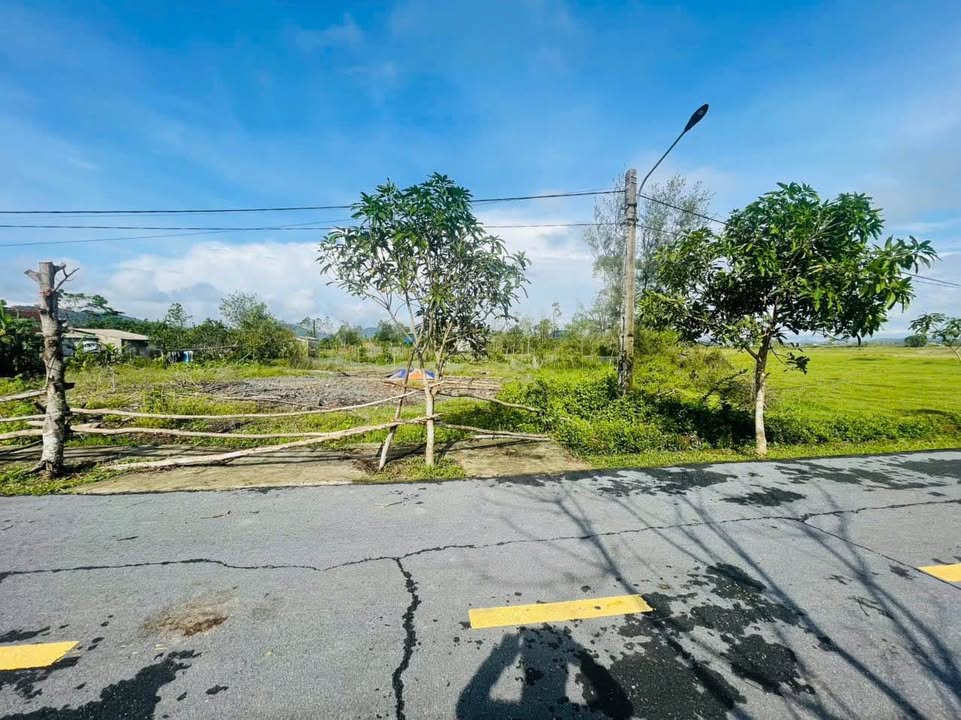 Bán đất thổ cư Ngọc Hà - Toàn Lưu 160,2m² giá chỉ 900 triệu - Tiềm năng phát triển!