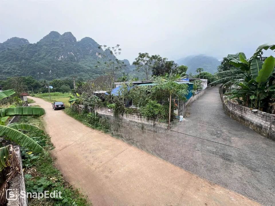 Đất thổ cư 111m² tại Thanh Sơn, Lương Sơn - Giá chỉ 600 triệu - Đầu tư sinh lời cao!