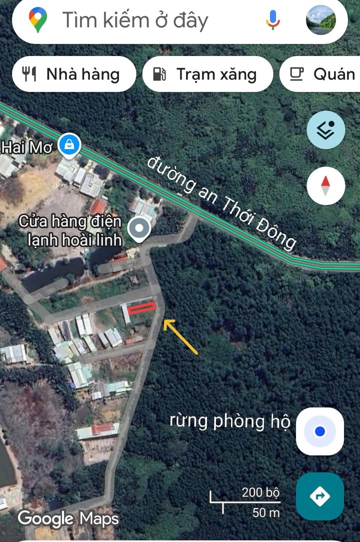 Đất thổ cư Huyện Cần Giờ 182m² giá 2.6 tỷ - Đầu tư nghỉ dưỡng lý tưởng!