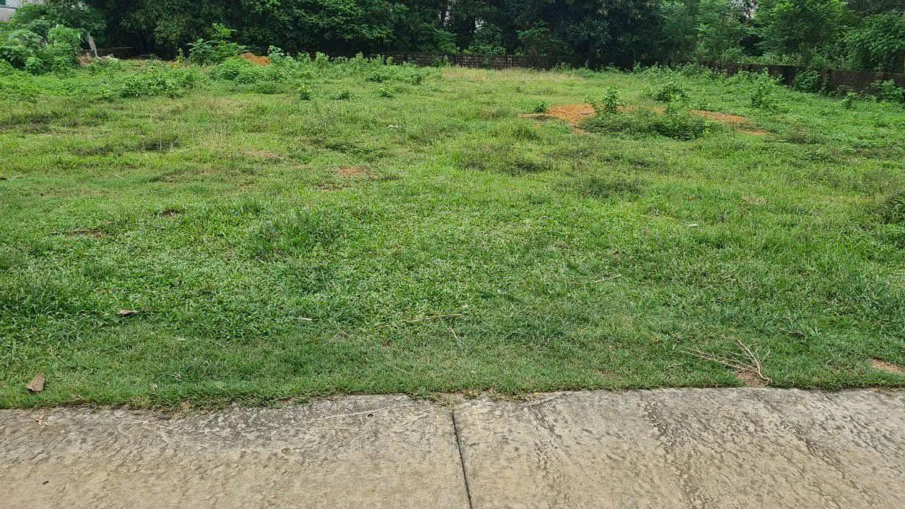 Đất nền Phường Sơn Lộc, Thị xã Sơn Tây 1118m² giá 11.18 tỷ - Đất vuông đẹp, cơ hội đầu tư tuyệt vời!