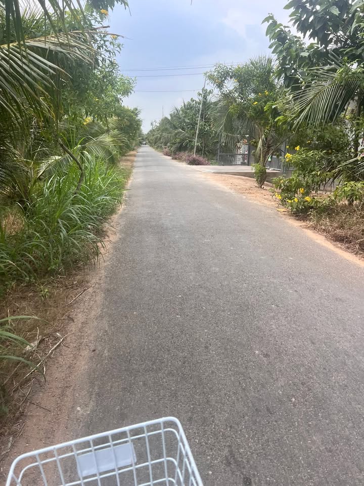 Đất mặt tiền Đê Tây, Xã Châu Hưng, 500m² chỉ 500 triệu - Cơ hội đầu tư hiếm có!