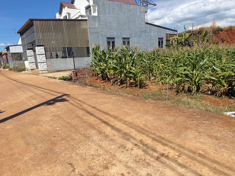 Bán đất thổ cư 117m² tại Bồng Lai, Lâm Đồng - Giá chỉ 699 triệu, cơ hội hiếm có!