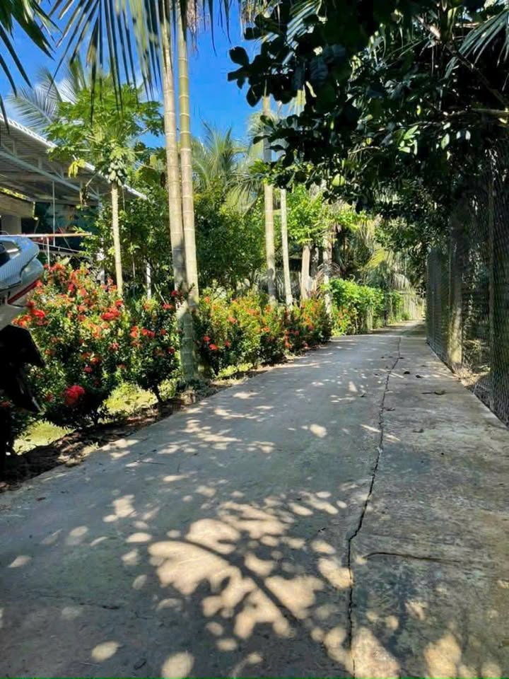 Đất nền xã Quới Sơn, Châu Thành, Bến Tre 203m² giá chỉ 540 triệu - Sổ đỏ chính chủ