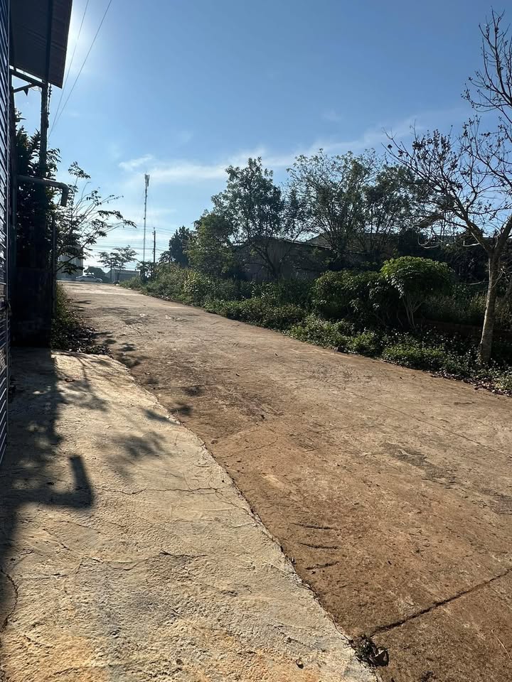 Đất nền Đinh Lạc, Di Linh 185m² giá 899 triệu - Cơ hội đầu tư tuyệt vời!