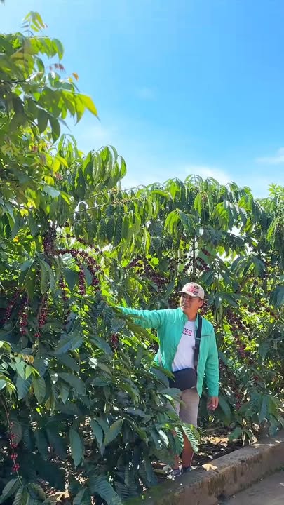 Farm Fun Cafe Hòa Ninh 21.000m² - Đất đẹp, vị trí đắc địa bên hồ