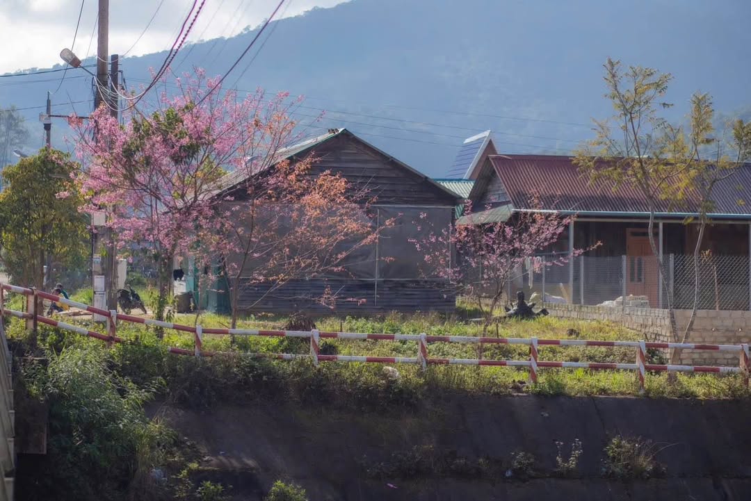 Nhà 2 mặt thoáng hẻm ô tô Hồ Xuân Hương, Đà Lạt 67m² giá 3.5 tỷ - Sẵn sàng vào ở!