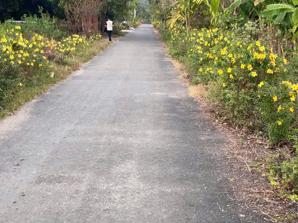 Bán vườn sầu riêng Đạ Lây Lâm Đồng 2448m² giá 1.85 tỷ - Cơ hội đầu tư tuyệt vời!