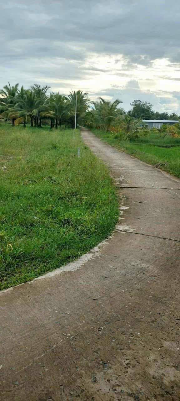 Đất nền 3 mặt tiền Lộ Danl 3m - 160m² chỉ 135 triệu - Cơ hội đầu tư tuyệt vời!