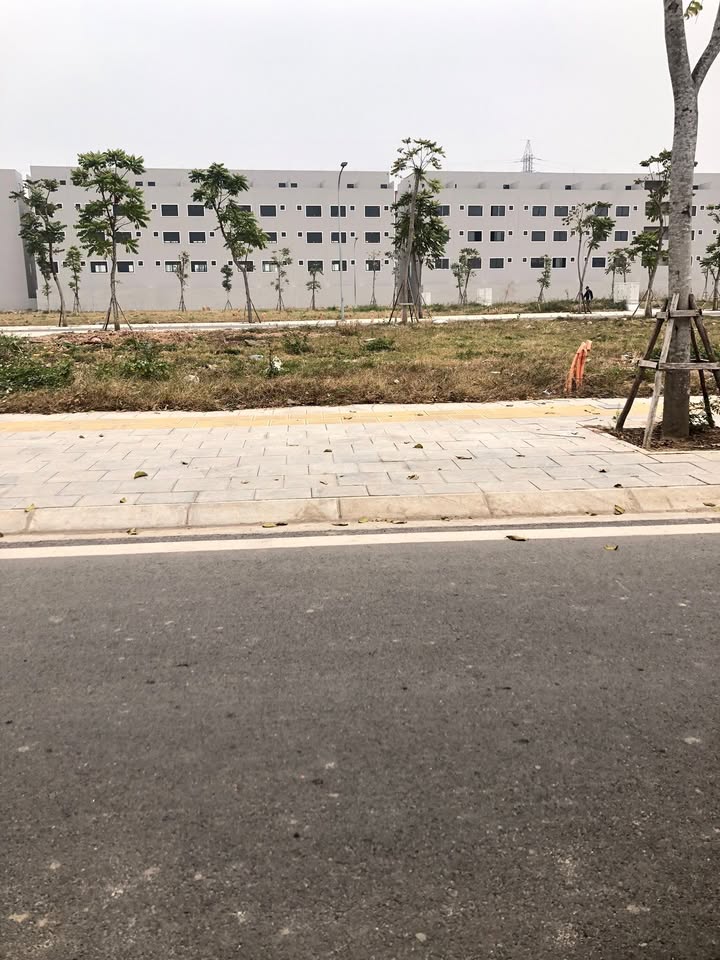 Đất nền Bavella Green Park Bắc Giang 100m² giá thỏa thuận - Đầu tư sinh lời ngay!