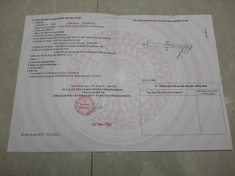 Đất Lộc Bình 1, Lộc Ninh 500m² giá thỏa thuận - Sổ hồng chính chủ