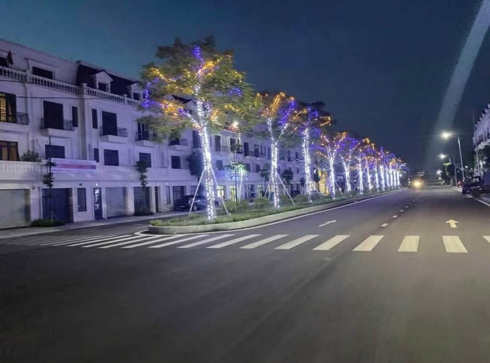 Bán FrontHouse Đường Đôi Tố Hữu, Phường Đông Hải, 65m² - Giá tốt chỉ 5 tỷ!