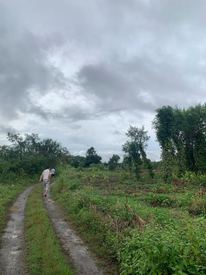 Đất thổ cư 1800m² tại Krông Năng, Đắk Lắk - Cơ hội đầu tư tuyệt vời!