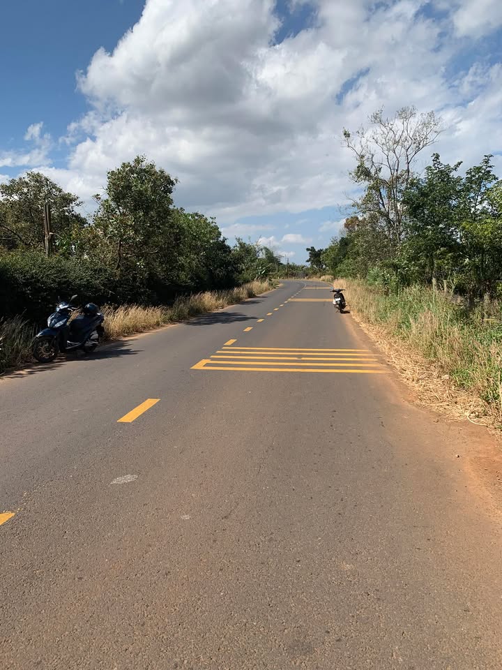 Đất nền Quốc lộ 29, Huyện Krông Năng, 2100m² - Giá chỉ 100 triệu/m²!