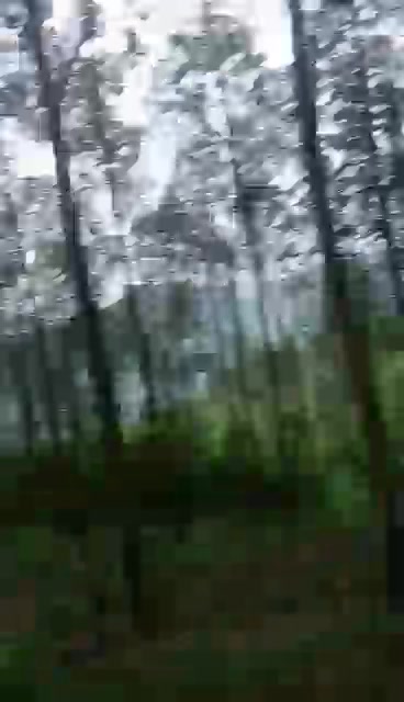 Đất Nâm Nung 20.000m² giá 1.35 tỷ - Cơ hội đầu tư hấp dẫn!