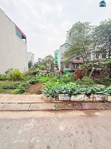 Bán đất Hoà Lạc, huyện Thạch Thất, 99m² giá chỉ 3.1 tỷ - Sẵn sàng kinh doanh!