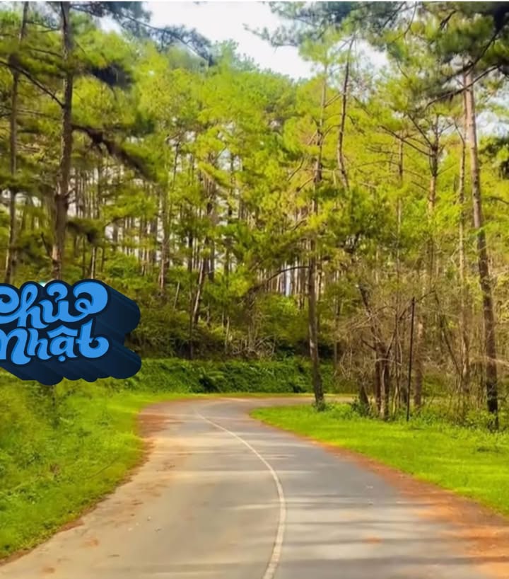 Đất nông nghiệp 542m² Lạc Dương chỉ 2.1 tỷ - Cơ hội đầu tư hấp dẫn!