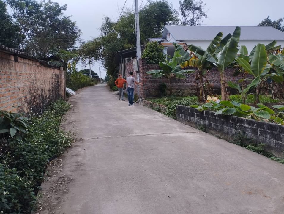 Đất thổ cư 113m² tại Dộc Lịch, Tam Dương - Vị trí thuận lợi cho đầu tư!