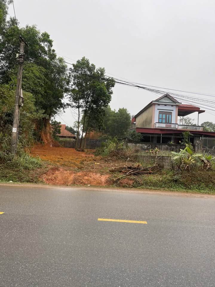 Đất nền Xã Tân Cương 136.3m² giá thỏa thuận - Vị trí đắc địa cho kinh doanh