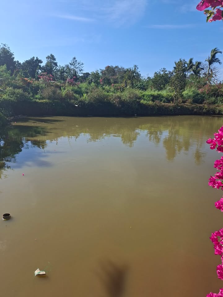 Đất mặt tiền đường Liên xã Ia Ko 504m² giá thỏa thuận - Vị trí vàng đầy tiềm năng!