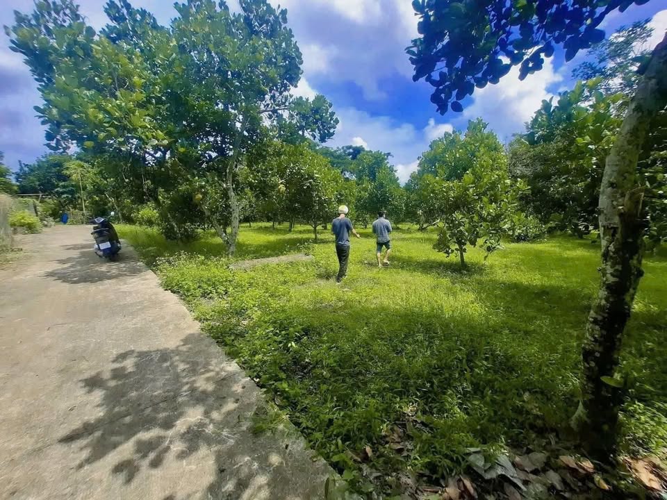 Đất nền 1000m² tại Bình Lộc, Long Khánh - Giá tốt chỉ 950 triệu!