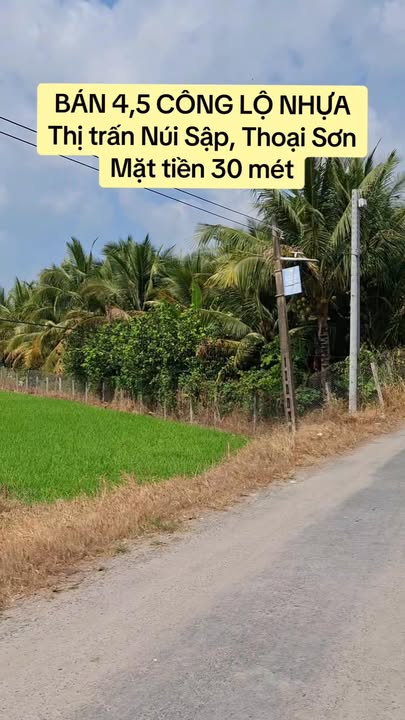 Đất nền 4,5 công tại Thoại Sơn, An Giang giá tốt - Mặt tiền 30m