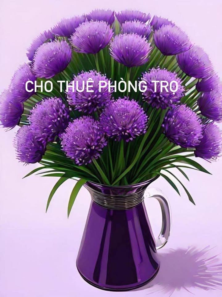 Phòng trọ khép kín tại Chung cư Đông Bắc Hạ Long 20m² - An ninh tốt, giá thỏa thuận!