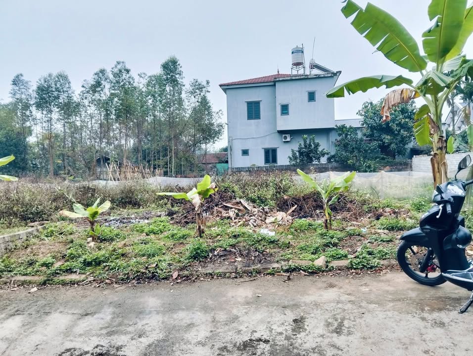 Đất thổ cư 200m² tại Gai Bún, Lạng Giang - Giá chỉ 700 triệu!