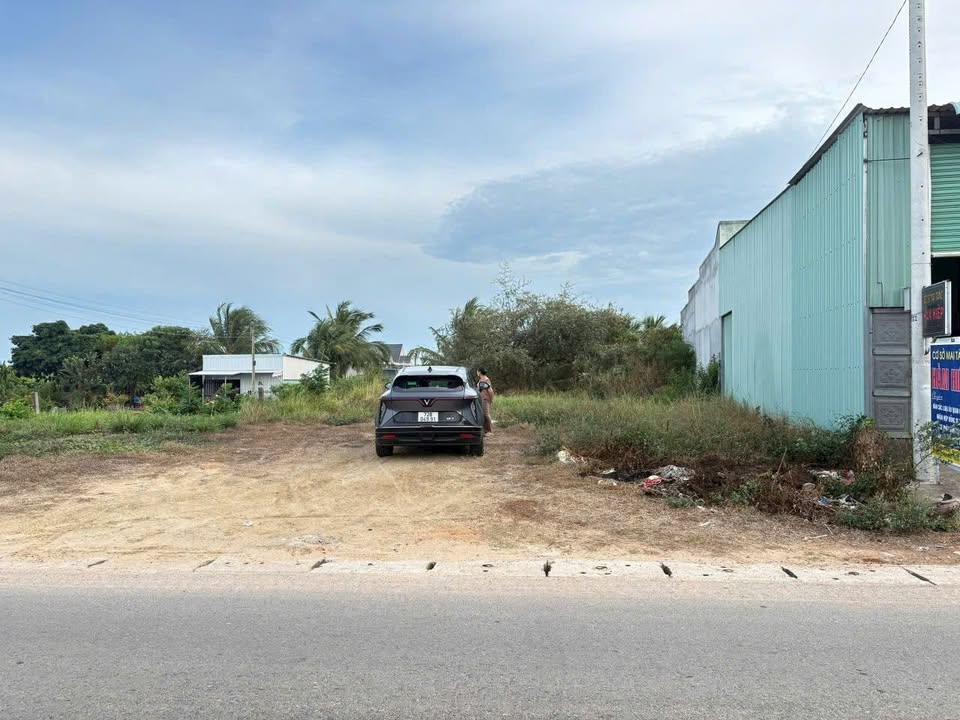 Đất mặt tiền Hải Thượng Lãn Ông, 130m² giá 2.65 tỷ - Đầu tư sinh lời ngay!